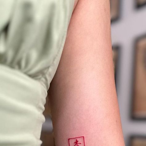 dr. christine liu on Instagram: "Name stamp! Made at @twocranestattoo 李 is a relatively common last name, pronounced Li in mandarin or Lei in Cantonese and it means plum! But also I love how Chinese characters are often combinations of other Chinese characters… this one is basically “wood” on top of “child” which logically would make some kind of fruit lol!" Chinese Name Stamp Tattoo, Chinese Stamp Tattoo, Chinese Name Tattoo, Chinese Character Tattoo, Chinese Character Tattoos, Last Name Tattoos, Inspired Tattoos, Kinds Of Fruits, Chinese Name