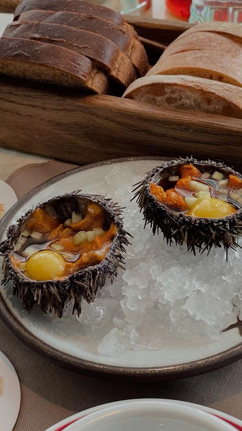 Sea ​​urchin. Seafood photo aesthetic. Fish food restaurant. Sea Urchin Aesthetic, Seafood Restaurant Aesthetic, Sea Urchin Food, Fish Aesthetic Food, Seafood Aesthetic, Aesthetic Fish, Sea Aesthetic, Grilled Seafood, Fish Food