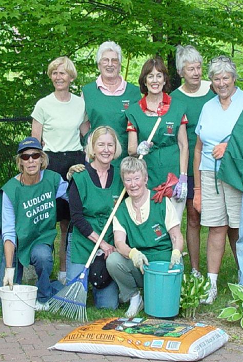 Garden Club Program Ideas, Start A Garden, Nursing Home Activities, Recreation Therapy, Activity Director, Senior Activities, Thessaloniki Greece, Starting A Garden, Home Vegetable Garden