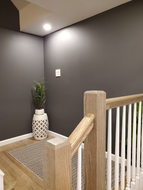 Dark Gray Basement, Finished Basement Stairs, Grey Painted Rooms, Dark Gray Paint, Gray Basement, Charcoal Grey Paint, Basement Paint Colors, Basement Finish, Basement Painting