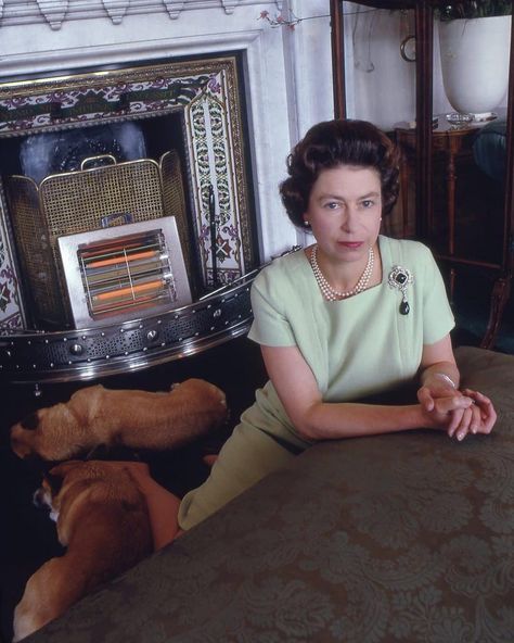 a candid photo of Her Majesty sat by her fireplace with her corgis 1970's #britain #queen #queenelizabeth #monarch #monarchy #royal… David Montgomery, Young Queen Elizabeth, Rainha Elizabeth Ii, Candid Photo, Queen E, Hm The Queen, Royal Family England, Reine Elizabeth, Elisabeth Ii