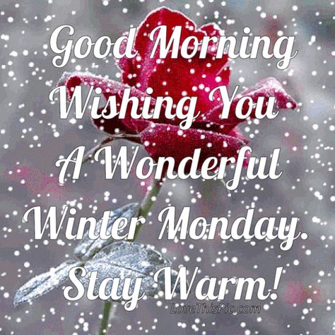 Winter Monday, Winter Good Morning, Happy Monday Quotes, Good Morning Winter, Good Night Pics, Morning Winter, Monday (quotes), Good Morning Monday, Good Morning Happy Monday