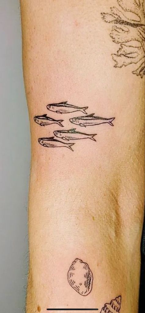 Sardine Tattoo, South Korean Tattoo, Small Fish Tattoos, Korean Tattoo, 50 Tattoo, Korean Tattoo Artist, Funky Tattoos, Handpoke Tattoo, Fish Tattoo