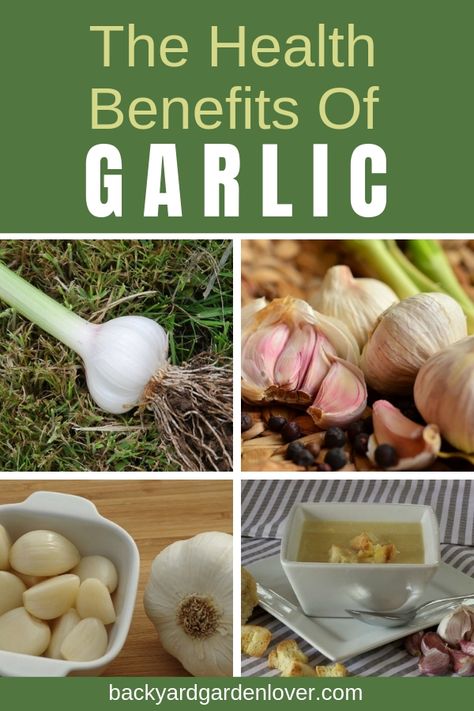 Health Benefits Of Garlic, Garlic Health, Benefits Of Garlic, Homemade Cough Remedies, Garlic Health Benefits, Garlic Benefits, Blood Sugar Diet, Coffee Benefits, Healthy Diet Tips