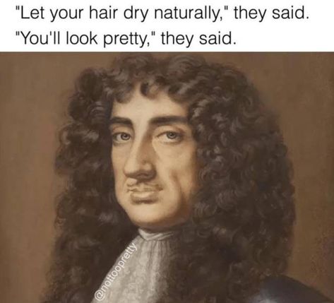 Curly Hair Jokes, Hair Jokes, Famous Memes, Classical Art Memes, Morning Memes, Freaking Hilarious, Funny Good Morning, Curly Hair Problems, Memes Of The Day