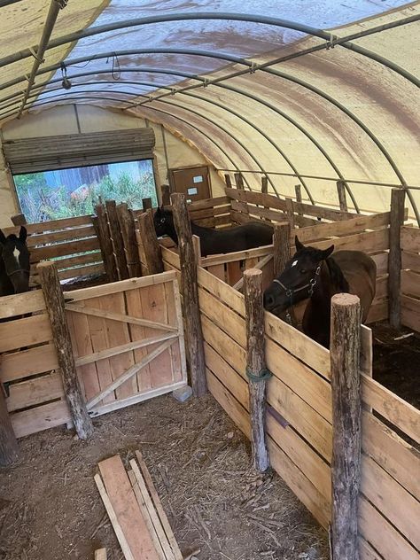 Outdoor Stalls For Horses, Outdoor Horse Stall Ideas, Horse Stall Ideas Cheap, Mini Stables, Barn Stall Ideas, Small Horse Barn Ideas Layout, Diy Horse Shelter, Horse Stall Ideas, Horse Run In Shelter