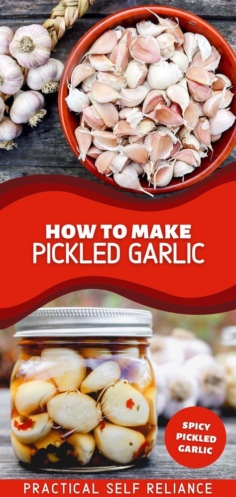 A mason jar with pickled garlic cloves canning and a bowl of unpeeled fresh garlic cloves Pickled Garlic Recipes, Pickled Garlic Cloves, Spicy Pickled Garlic, Recipes For Canning, Garlic Growing, Pickle Recipes Homemade, Pressure Canning Recipes, Canning Pickles, Home Canning Recipes