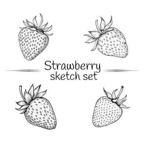 Strawberries isolated hand drawn set | Premium Vector #Freepik #vector How To Draw Strawberries, Strawberry Drawing Simple, Strawberry Outline, Strawberry Drawings, Tattoo Trio, Strawberry Sketch, Strawberry Logo, Strawberry Vector, Strawberry Drawing