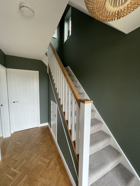 Coloured Hallway Ideas, Green Wall Staircase, Colour Block Staircase, Dark Green Staircase Wall, Forest Green Hallway, Stair Hallway Paint Colors, Green Hallways And Stairs, Dark Green Hallway Ideas, Green Stairs Painted