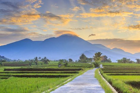 16:9 Background Aesthetic Landscape, 16:9 Backgrounds, Village Wallpaper, Green Village, Farm Images, Adobe Photoshop Design, Dhoni Wallpapers, Dslr Background, Rice Fields