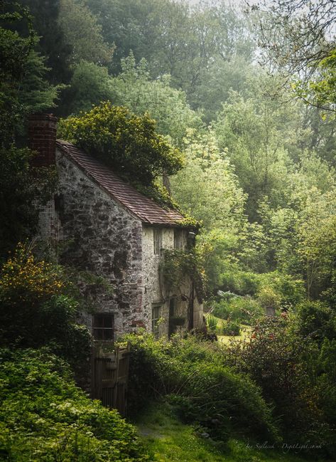 la maison de la clairiere 🍃 nature environnement paysage landscape verdure greenery forest Stare Dwory, بيوت ملكية, 숲 사진, Stone Building, Stone Cottages, Landscape Edging, Cottage In The Woods, Stone Cottage, Old Stone