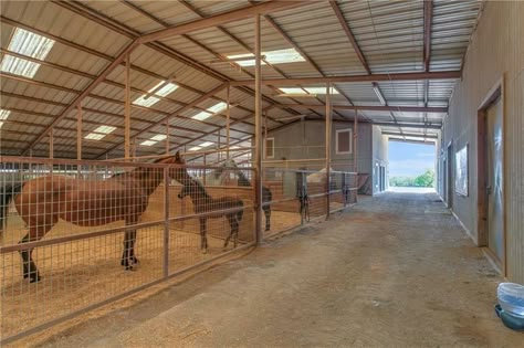 Horse Breeding Facility, Stalls With Runs Horses, Shop With Horse Stalls, Horse Bedding Stalls, Two Stall Horse Barn, Luxury Horse Barns, Stall Fronts Horse, Livestock Barn, Barn Layout