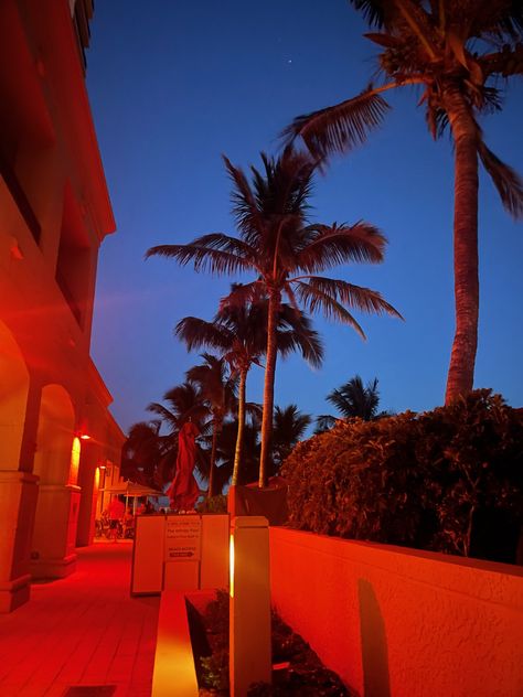 Red Tropical Wallpaper, Red Vacation Aesthetic, Red Beach Aesthetic, Red Skies Aesthetic, Night Views, Beach Red, Dream Life House, Beach At Night, Palm Trees Beach