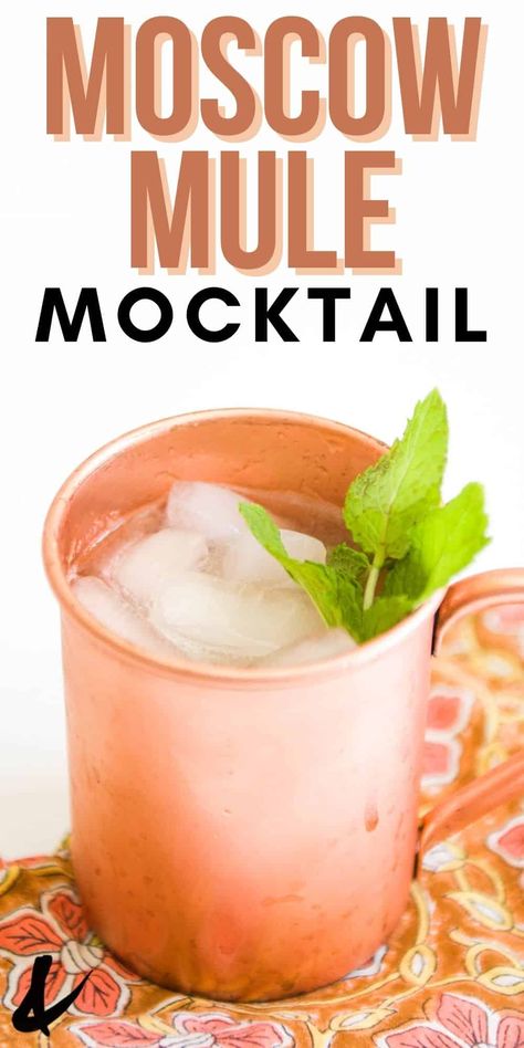 Mocktails Gingerale, Ginger Beer Mocktail Non Alcoholic, Virgin Moscow Mule, Virgin Cocktail Recipes, Ginger Beer Drinks, Summer Mocktail Recipes, Refreshing Mocktail, Easy Mocktails, Best Non Alcoholic Drinks