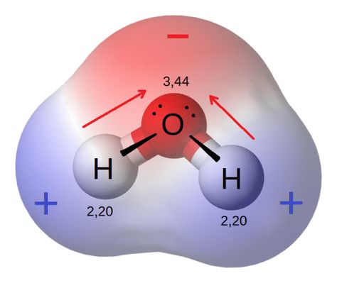 How Do Polar and Nonpolar Molecules Interact With Each Other Check more at https://in4arts.com/how-do-polar-and-nonpolar-molecules-interact-with-each-other.html Polar Molecules, Organic Molecules, Drawing Water, Water Molecule, Biology, Science, Drawings, Water, Oder