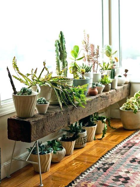 Indoor Plants Diy, Indoor Plant Shelves, Koti Diy, Deco Champetre, Support Pour Plante, Trendy Plants, Plant Stands Outdoor, Living Room Plants, Wooden Plant Stands