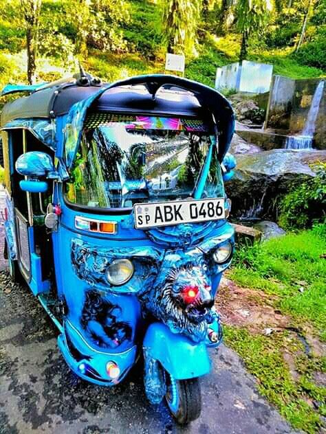 Tuk Tuk Modified, Moto Taxi, Beautiful Morning Pictures, Bus Skin, Auto Rickshaw, Bus Skin Design, Hippie Bus, Super Fast Cars, Amazing Animal Pictures