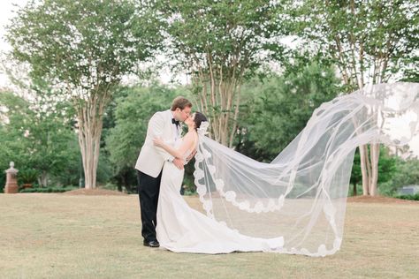 Wedding Photography Veil Shots, Bride And Groom Pictures With Veil, Wedding Photo Ideas Veil, Veil Shots Bridal Portraits, Bride And Groom Picture Ideas, Veil Poses, Veil Shots, Wedding Portraits Family, Enchanted Forest Wedding Theme