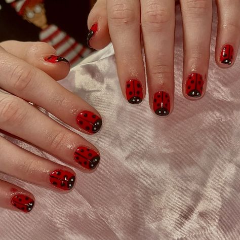 Bet you didn’t spot these bugtastic nails coming in late fall season 🐞 . Book in BlO✨ . . . . #nails #nailartist #nailart #naildesigns #nailinspo #smallbusiness #smallartist #beginnernailtech #tallynailtech #tallahassee #fsu #famu #tsc #biab #ladybug #rednails #polkadots #fallnails #cutenails Funky Red Nails, Ladybird Nails, Ladybug Nail Art, Ladybug Nails, Bee Nails, Nail Time, Nail Idea, Late Fall, Funky Nails