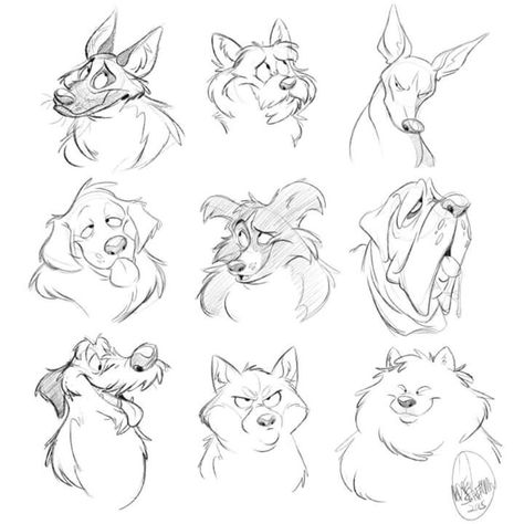 Andy Scherman #dogs #heads #breeds #different Cartoon Dog Drawing, Face Poses, Animal Sketch, Different Animals, Dog Sketch, Disney Dogs, Dog Tips, Dog Hacks, Poses References