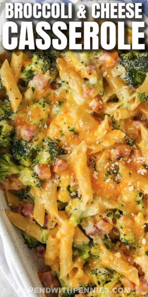 Broccoli & cheese casserole never disappoints. Easy to make dishes like these are always a hit with any crowd. #spendwithpennies #broccolicasserole #entree #sidedish #recipe #casserole #ham #cheesy #simple #easy #best #cheese Pasta Ham, Broccoli And Cheese Casserole, Ham And Cheese Casserole, Ham Broccoli, Recipe Casserole, Broccoli Recipes Casserole, Broccoli Cheese Casserole, Ham Casserole, Pasta Shells