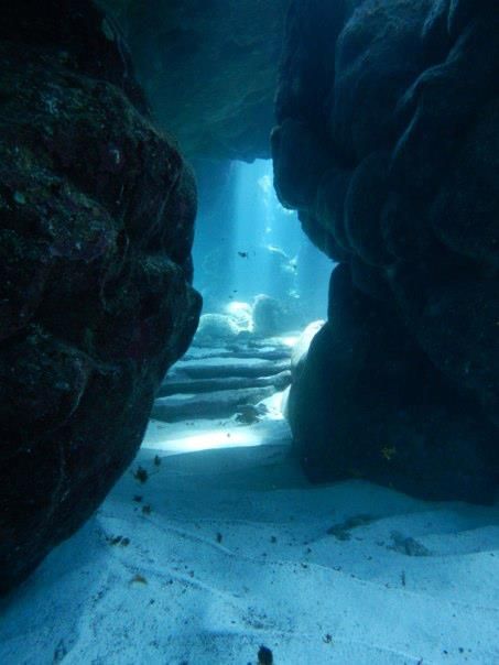 underwater caverns repinned by #smgtreppen Underwater Caves, Bawah Air, Cave Diving, Underwater Photography, Sea And Ocean, Underwater World, Ocean Life, Pretty Places, Atlantis