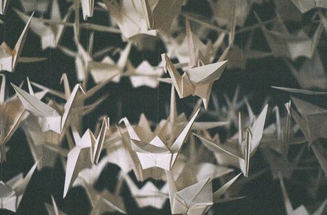 sam roth's paper cranes Cranes Aesthetic, Six Crimson Cranes, Kalluto Zoldyck, Kubo And The Two Strings, Origami Cranes, Paper Cranes, Kagerou Project, Castle In The Sky, Origami Crane