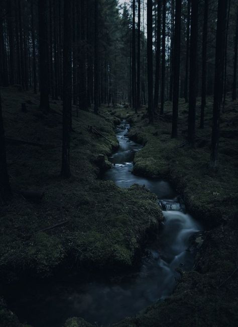 The Wolf And The Woodsman Aesthetic, The Wolf And The Woodsman, Backgrounds Aesthetic Landscape, Dark Fae Aesthetic, Fae Wedding, Landscape Dark, Dark Fae, Fae Aesthetic, Dark Naturalism