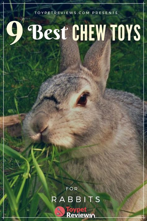 Bunny Chew Toys Diy, Bunny Chew Toys, How To Make Bunny Toys, Rabbit Toys And Boredom Busters, Flemish Rabbit, Bunny Tips, Rabbit Enrichment, Toys For Rabbits, Rabbit Chew Toys