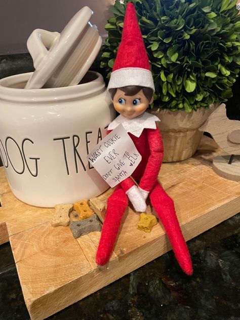 Elf on the shelf placed next to dog treat jar with broken dog treats around him holding a sign “worst cookie ever. Don’t give to Santa. Love, Elk” Elf With Pet Ideas, Elf On The Shelf Dog Treats, Elf On The Shelf Dog Ideas, Elf On Shelf With Pet Ideas, Elf On The Shelf Ideas With Reindeer Pet, How To Introduce Elf On The Shelf Pet, Dog Boutique Ideas, Elf On The Shelf Idea, Easy Elf On The Shelf