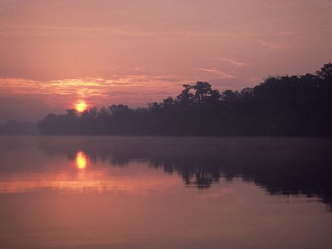 Mississippi River Delta, Mississippi River Cruise, American Cruise Lines, River Rat, City Island, River Pearls, River Delta, Army Corps Of Engineers, Great River