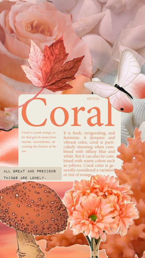 #coral #butterfly #shells #flowers #leaves Coral Butterfly, Flowers Leaves, Tiffany Blue, Coral Color, Warm Colors, Pink And Orange, Vibrant Colors, Shells, Coral