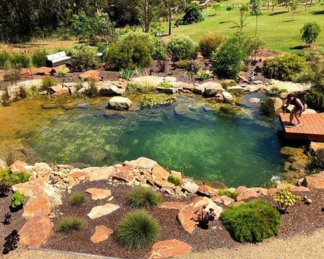 Recreation or swimming ponds are becoming an increasingly popular preference versus the typical inground pool. Our friends at @waterscapesaustralia have taken to this trend nicely! #waterfeature #swimmingpond #pond #australianlandscape #ponds #waterfall Fresh Water Pond Pool, Natural Garden Pool Swimming Ponds, Farm Pond Landscaping Natural Swimming Pools, Natural Ponds Backyard Swimming Holes, Recreation Pond, Mountain Pond Inground Pool, Swimming Ponds, Swimming Pool Pond, Natural Swimming Ponds