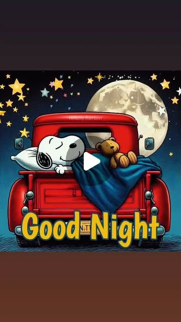 Goodnight Snoopy, Funny Snoopy, Snoopy Love, Good Night Sweet Dreams, Farmhouse Plans, Sweet Dreams, Good Night, Snoopy, Farmhouse