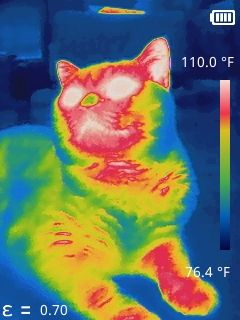 Thermal camera for unique photos and content. black and white, rainbow, and iron thermal settings. I use it for hilarious photos of my cat, to create transparent negatives for cyanotype prints, and for creative video ideas. Creative Video Ideas, Black And White Rainbow, Thermal Camera, Thermal Imaging Camera, Unique Photos, Hilarious Photos, Thermal Imaging, Video Ideas, Video Recording