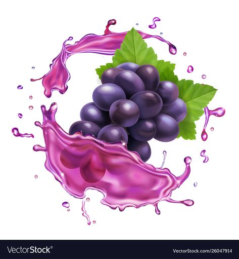 Grape Vector, Grape Logo, Grapes Juice, Juice Splash, Grape Water, Fruit Splash, Grape Jam, Skin Care Business, Red Grape