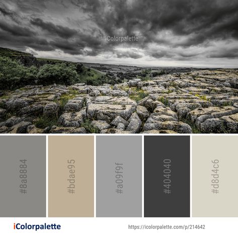 Color Palette ideas from 1519 Rock Images | iColorpalette River Rock Color Palette, Rocks Color Palette, Rock Color Palette, Stone Color Palette, Color Palette Theme, Colour Pallettes, Neutral Pallet, Paint Palettes, Color Palette Ideas