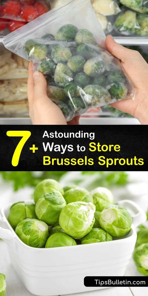 How To Freeze Brussel Sprouts Without Blanching, Storing Brussel Sprouts, Canning Brussel Sprouts, Harvesting Brussel Sprouts, Raw Brussel Sprouts, Storing Veggies, Freezing Brussel Sprouts, Exotic Recipes, Freezing Vegetables