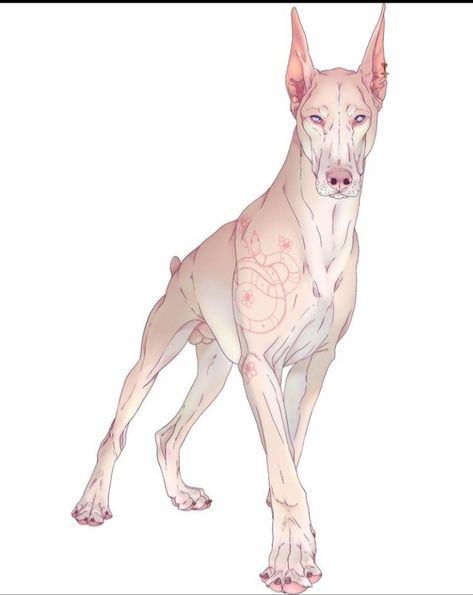 Dog Design Art, Canine Drawing, Dog Animation, Big Cats Art, Canine Art, Sketch Style, Creature Drawings, Fantasy Creatures Art, Anime Animals