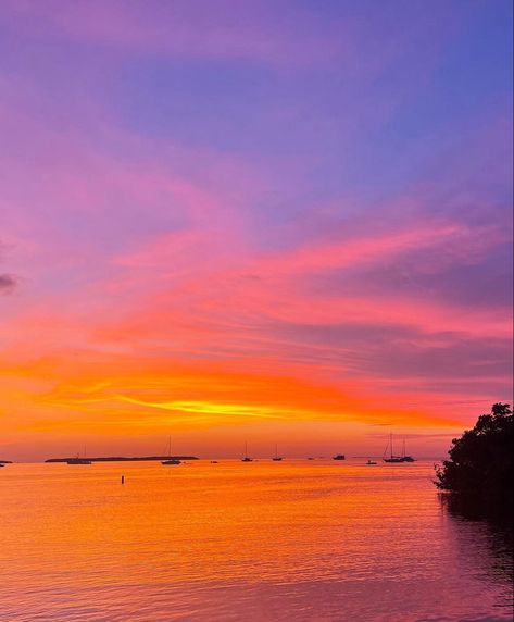 beautiful sunset picture at the beach purple pink and orange sky no filter Painting Box Ideas, Joey Aesthetic, Pink And Orange Sky, Picture At The Beach, Pink And Blue Sunset, Pink And Orange Sunset, Pink And Purple Sunset, Gem Corn, Garden Core