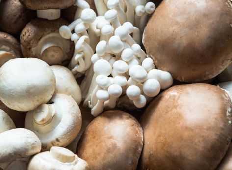 What Are Functional Mushrooms Growing Mushrooms At Home, Four Sigmatic, Maitake Mushroom, Button Mushrooms, Cremini Mushrooms, Ramen Recipes, Savory Soups, Food Out, Healthy Beauty