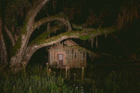 breezeh on Twitter: "Photos I took in ghost towns… " Demolition Lovers, Southern Gothic Aesthetic, Southern Nights, Louisiana Swamp, American Gothic, Southern Gothic, Gothic Aesthetic, Pirate Ship, Ghost Towns