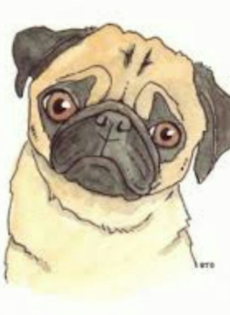 Pug drawing Pug Drawing, Pug Quotes, Tattoo Painting, Paint Your Pet, Pug Art, Simple Canvas Paintings, Anime Crafts, Cute Pugs, Pug Love