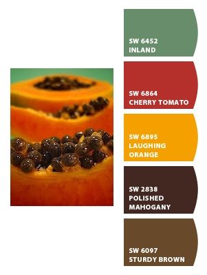 Papaya Colour Palette, Papaya Color Palette, Papaya Color, Colours That Go Together, Smoothie Bar, Board Inspiration, Orange You Glad, Mood Board Inspiration, Sherwin Williams