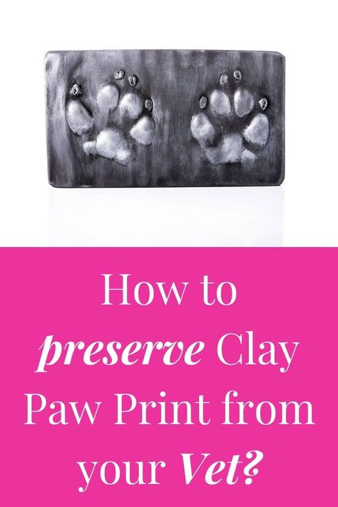 Clay Paw Print, Dog Paw Print Craft, Pet Memorial Ideas Dogs, Paw Print Crafts, Dog Clay, Tiny Paw Print, Paw Print Art, Paw Painting, Dog Paw Prints