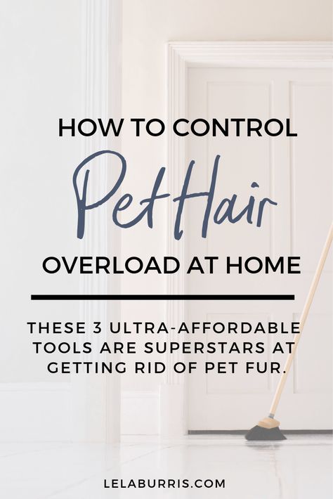 3 Ultra-Affordable Tools To Get Rid Of Pet Hair - Lela Burris Pet Supplies Organization, Dog Hair Removal, Hair Product Organization, Cleaning Pet Hair, Pet Cleaning, Pet Hair Removal, Household Cleaning Tips, Cat Hair, House Cleaning Tips