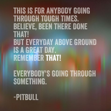 Everybody's going thru something.  Pitbull. Time of our lives. Time Of Our Lives Pitbull, Pitbull Lyrics, Pitbull Songs, Inner Peace Tattoo, Pitbull Quotes, Time Of Our Lives, Snap Out Of It, Senior Quotes, School Quotes