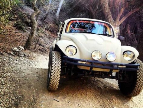 El curioso Vocho todoterreno: Baja Bug Baja Beetle, Vw Baja Bug, Vw Dune Buggy, Beetle Vw, Volkswagen Aircooled, Vw Baja, Baja Bug, Sand Rail, Volkswagen Bug