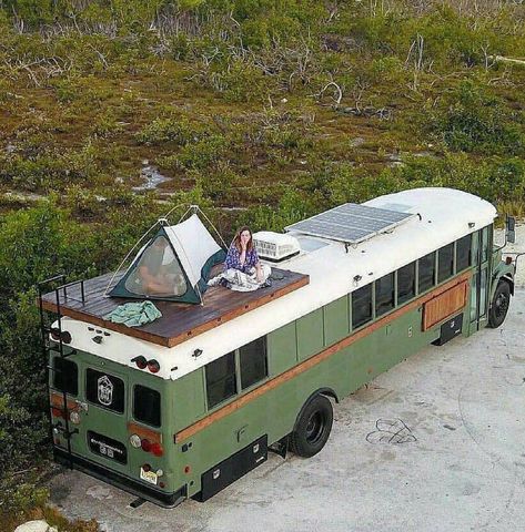 School Bus Tiny House, School Bus Camper, School Bus House, Converted School Bus, Bus Ideas, Bus Living, School Bus Conversion, Bus House, Campervan Life