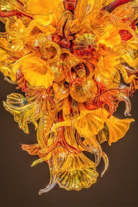 Chihuly Chandelier, Organic Flowers, Cool Things To Build, Glass Art Installation, Happy First Day Of Fall, Trumpet Flower, First Day Of Fall, Flower Chandelier, Dale Chihuly